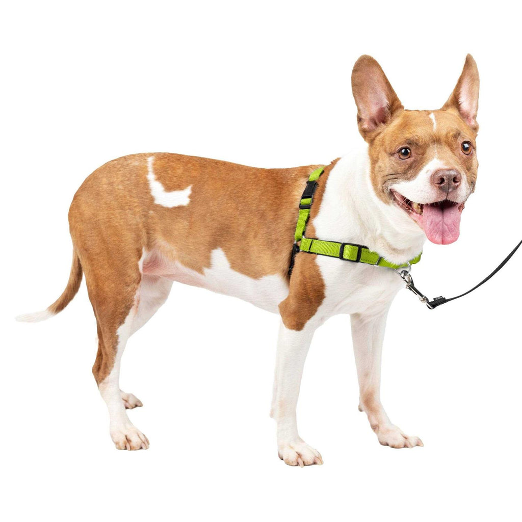Easy Walk Harness Q44757