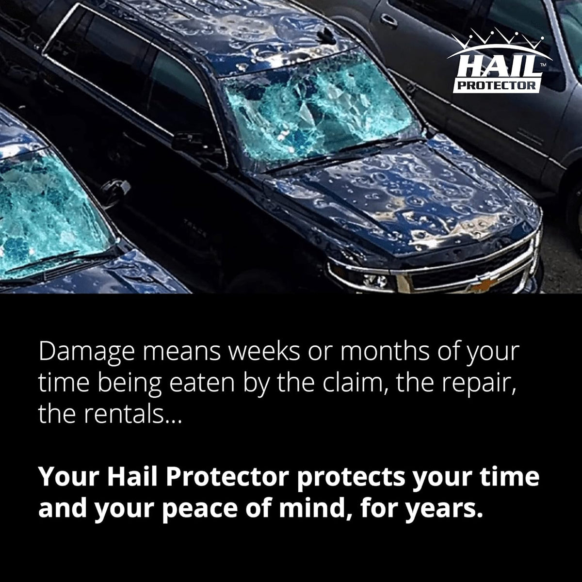 Portable Cover System for SUV, Truck and Van D251549