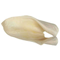 Cow Ears O20614