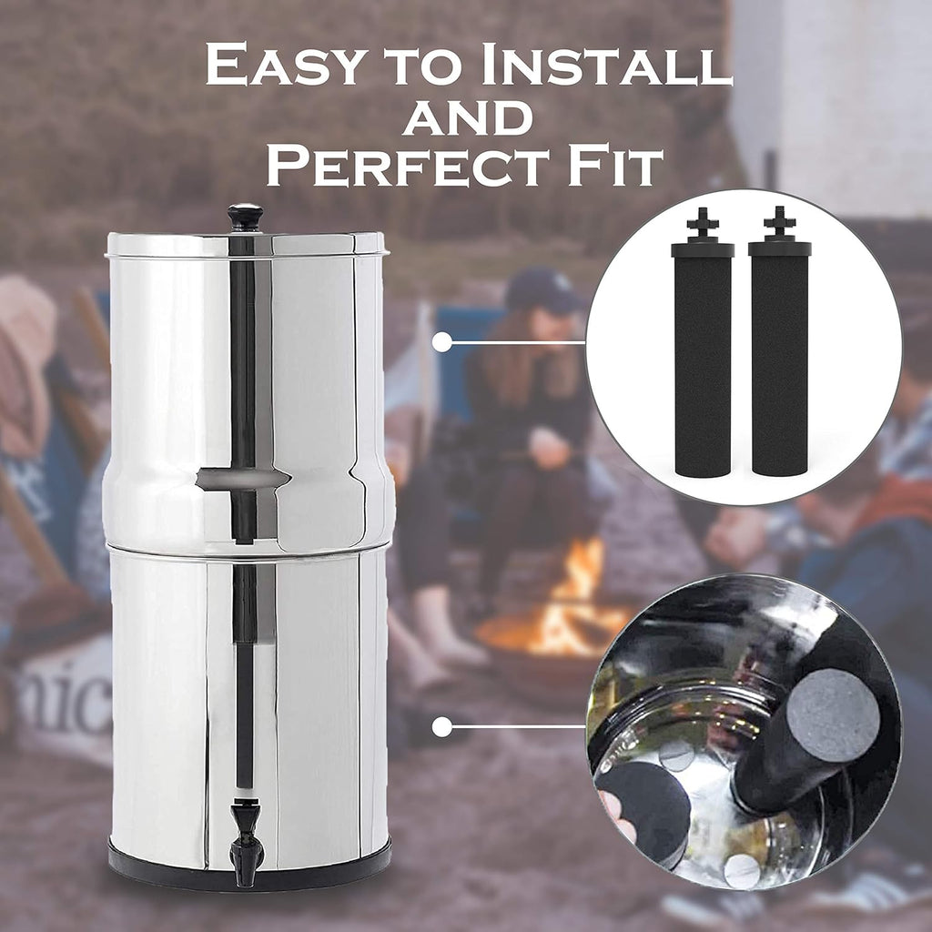 2 Pack Water Filter Purification Elements I852028