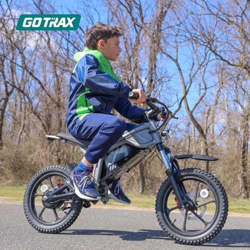 Black 16" Electric Dirt Bike N857272