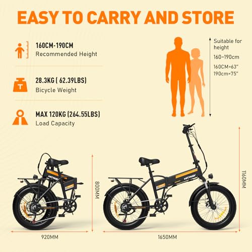 20" x4.0 Fat Tire Foldable Electric Bicycle with 750W Motor, 48V 12AH Removable Battery, 7 Gears C696909