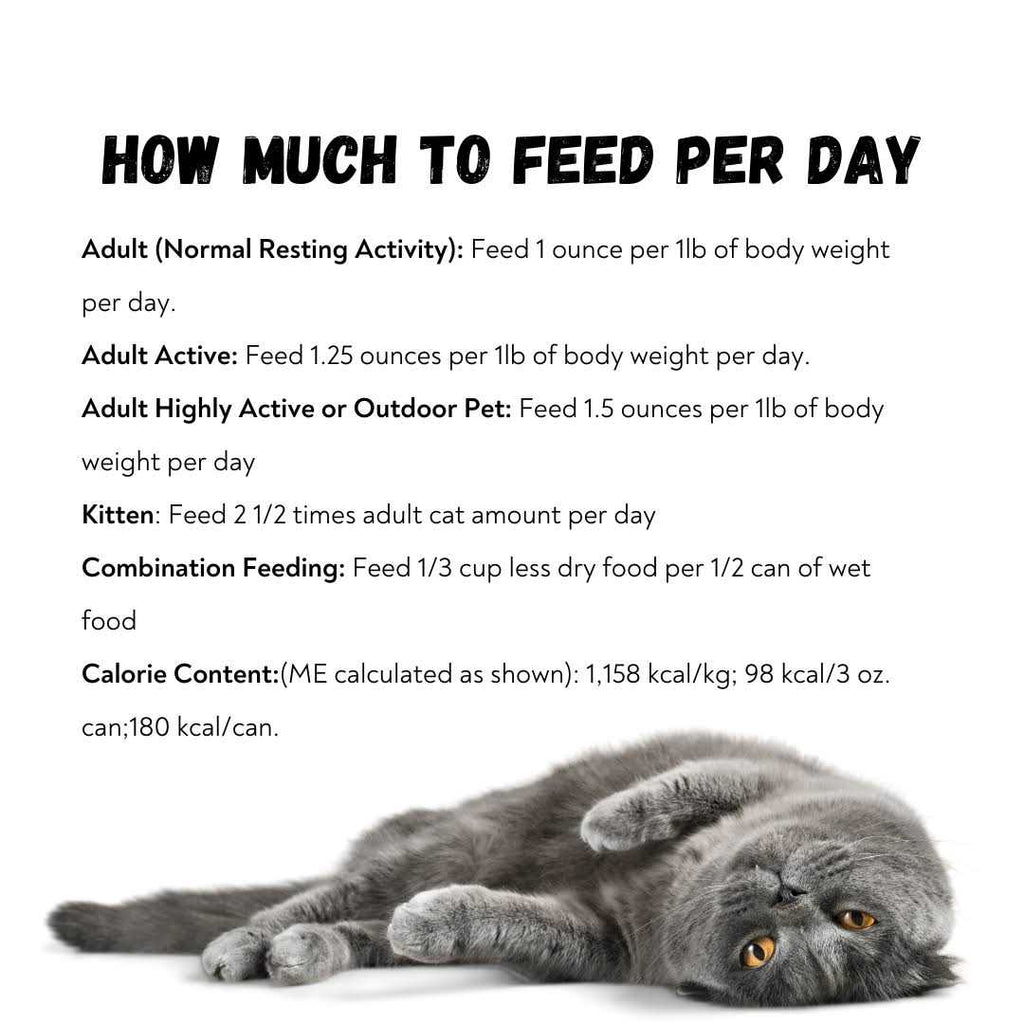 96% Pate Cat Food R9793