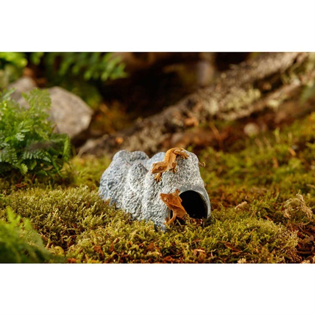 Wet Rock Cave N381