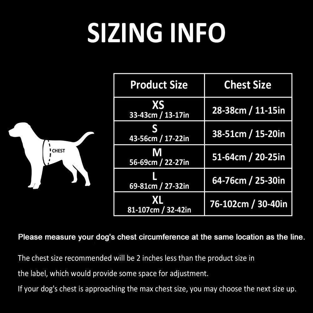Reflective Dog Harness and Leash F74204