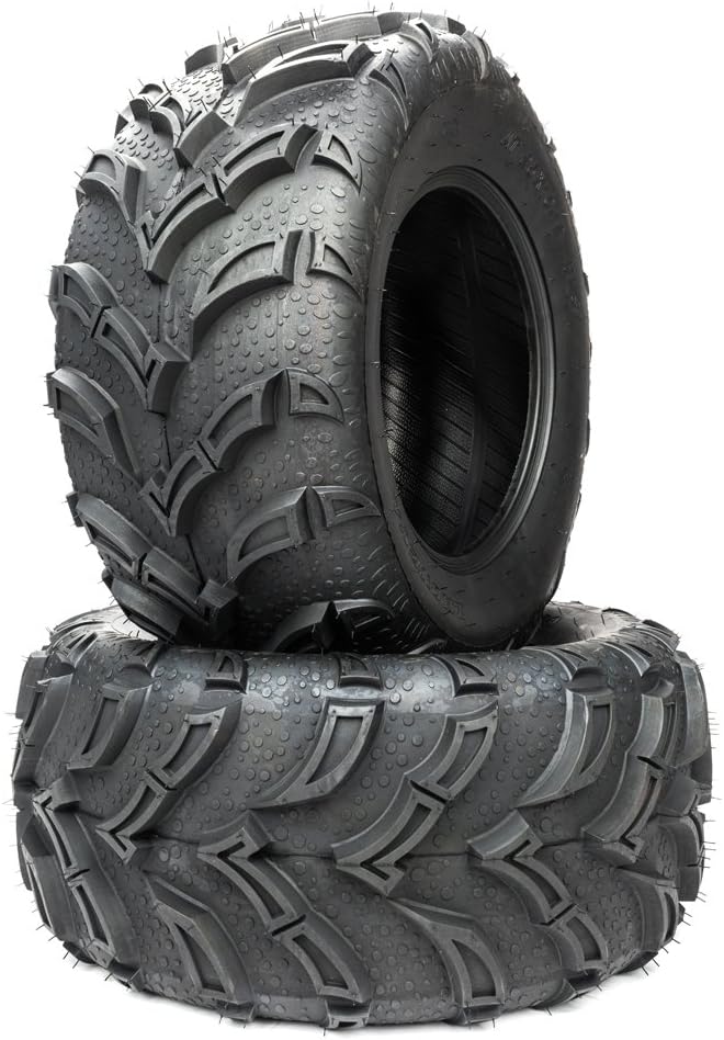 Set of 2 Tubeless All-Terrain Tires 25x10-12 6PR I109602