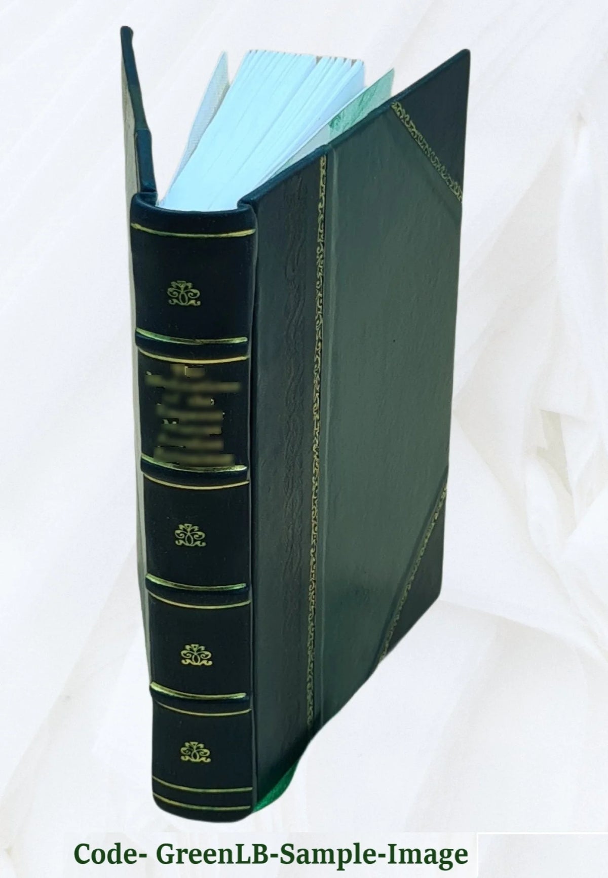 Leather Bound Book N867