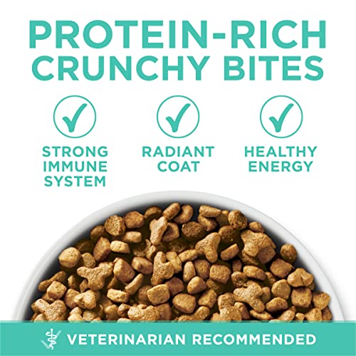 22 lb. Natural Dry Cat Food C35558