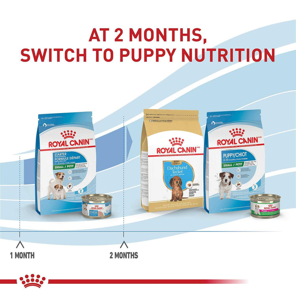 Small Starter Dry Dog Food J2145