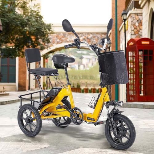 350W Folding Electric Tricycle with 480Wh Removable Battery and 2 Seats Y98278