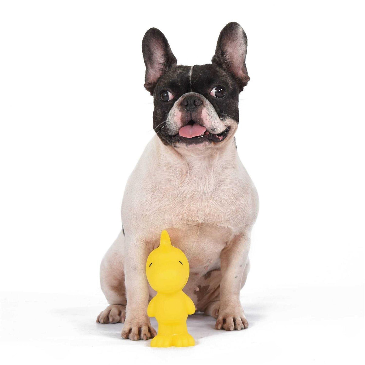 Vinyl Squeaker Dog Toy V256