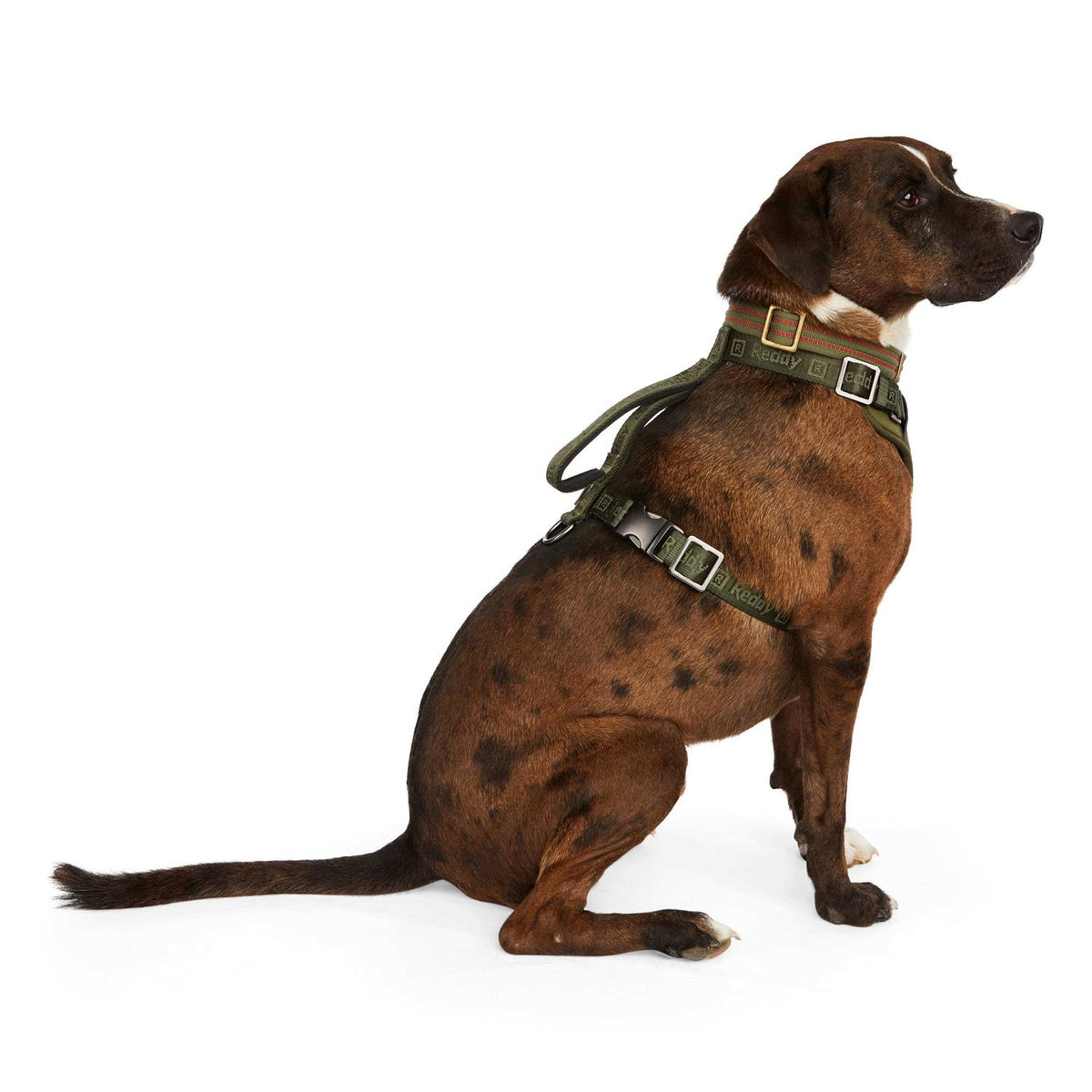 Dog Harness K6386