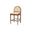 Natural Rattan and Acacia Wood Counter Stool K762