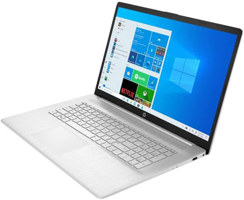 17.3" Touch HD+ AMD Ryzen 5 5500U 6-Core Laptop, 32GB RAM, 1TB PCIe SSD + 1TB HDD, Win 11 Home W310
