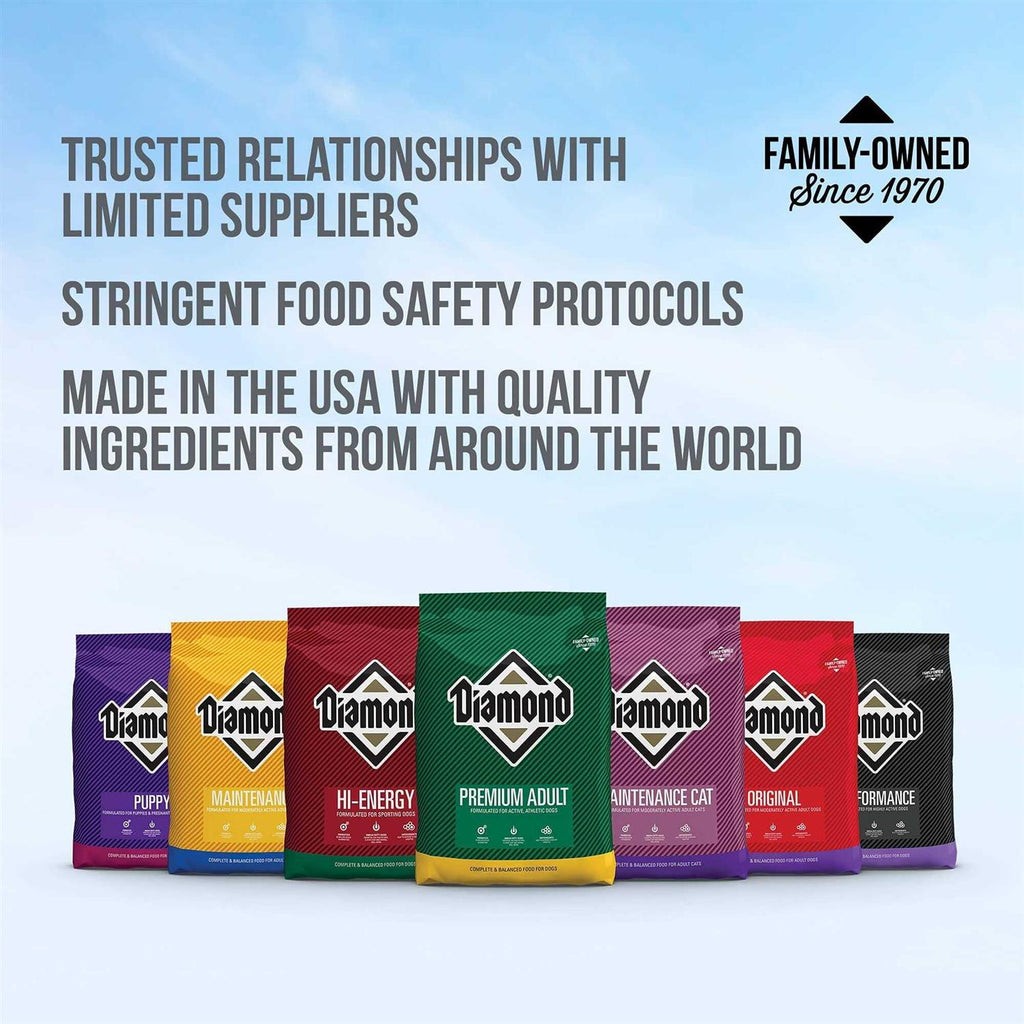 Dry Dog Food T338263