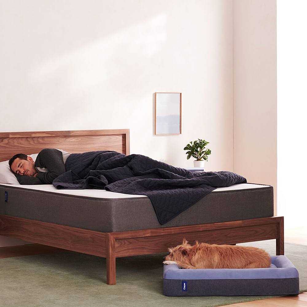 Casper Dog Bed D8419