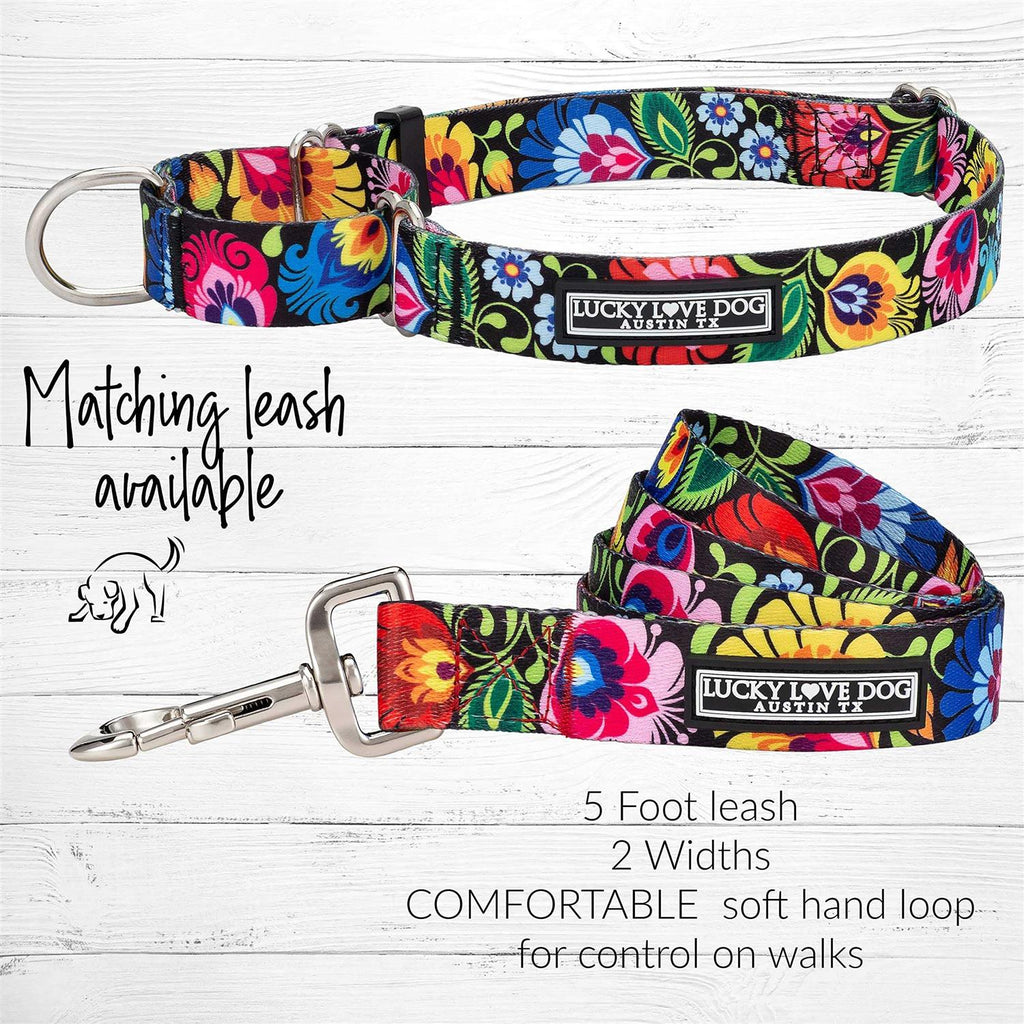 Martingale Dog Collar No Slip Z24190