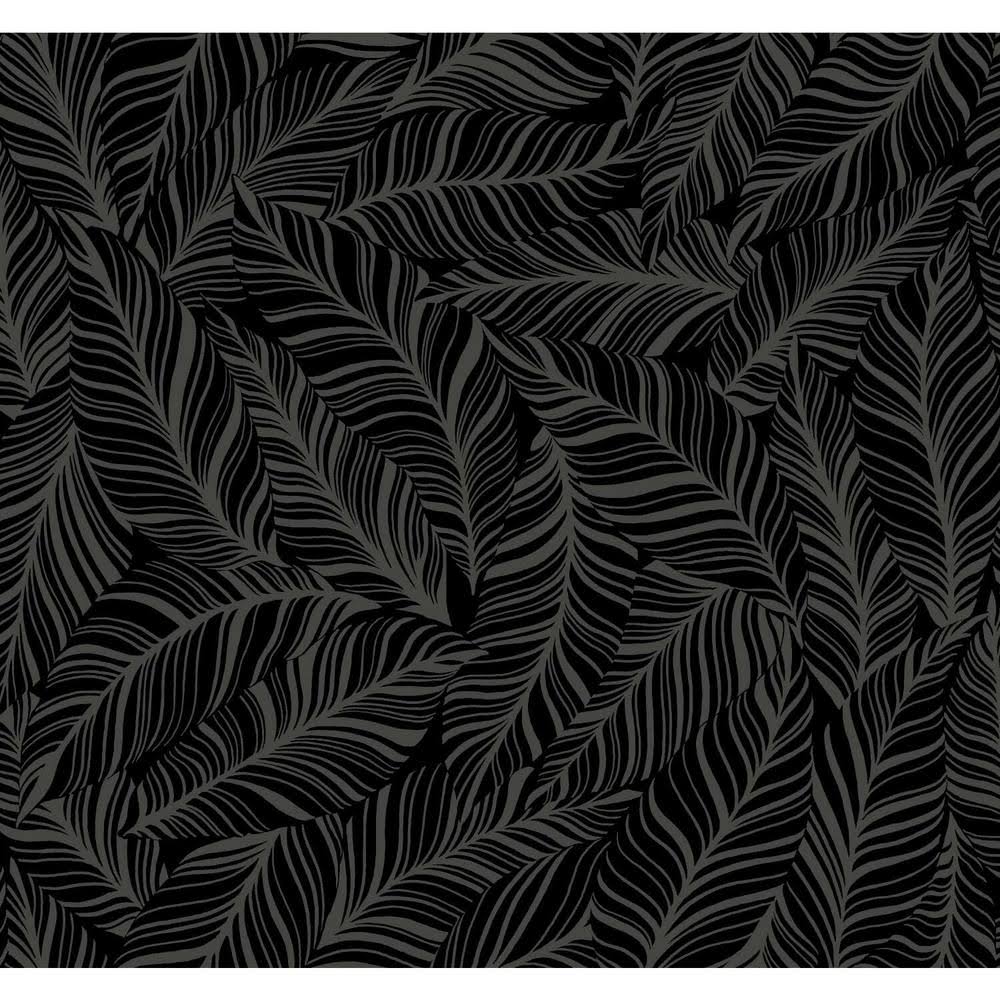 Black Rainforest Canopy Wallpaper H173057