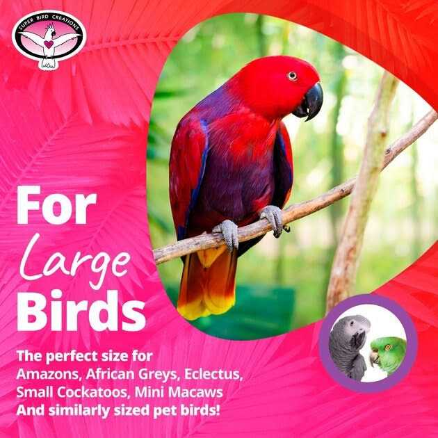 Bagel Cascade Bird Toy F378100