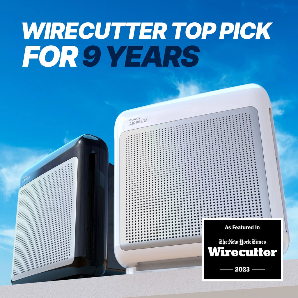 White True HEPA Air Purifier R890