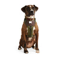 Dog Harness K6386