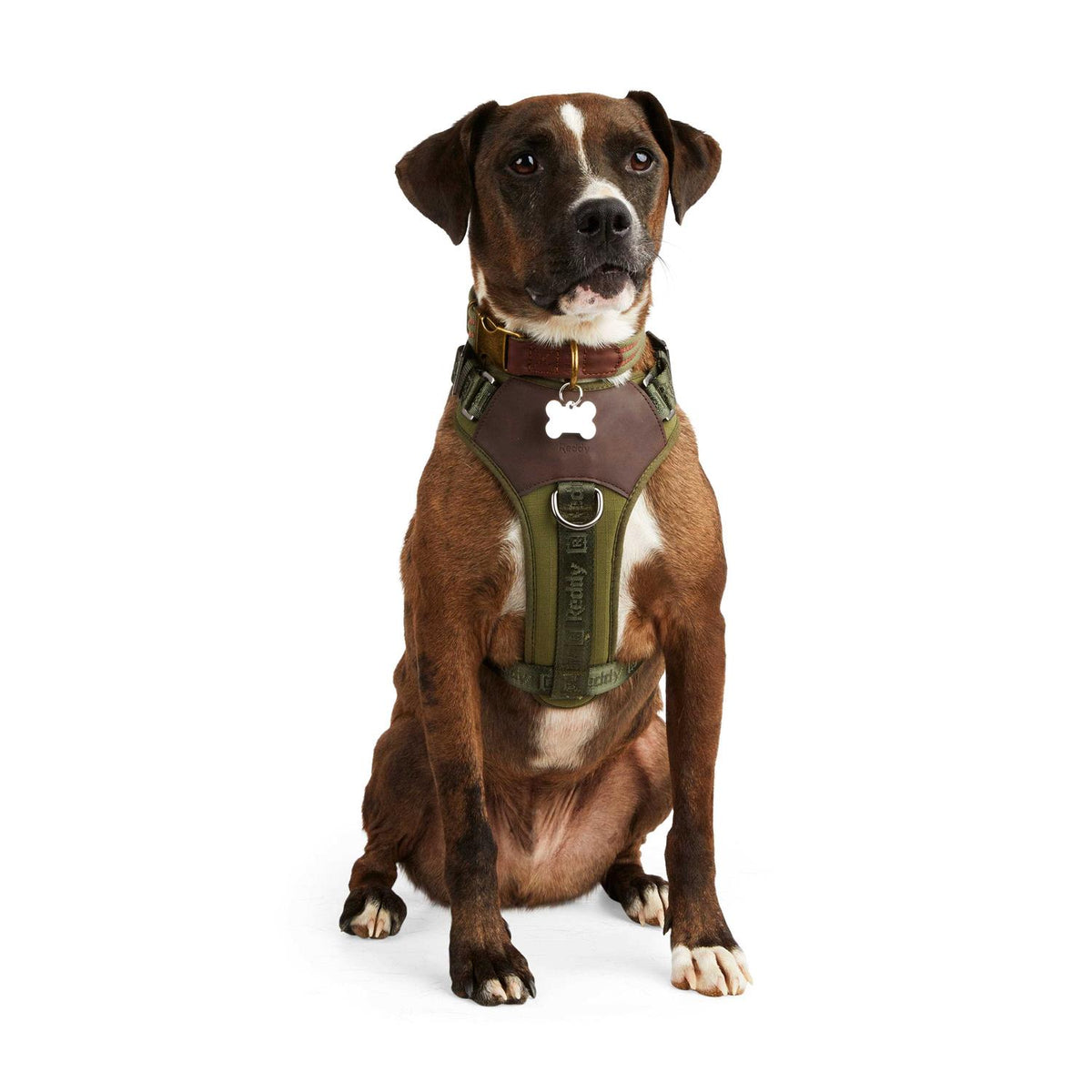 Dog Harness K6386