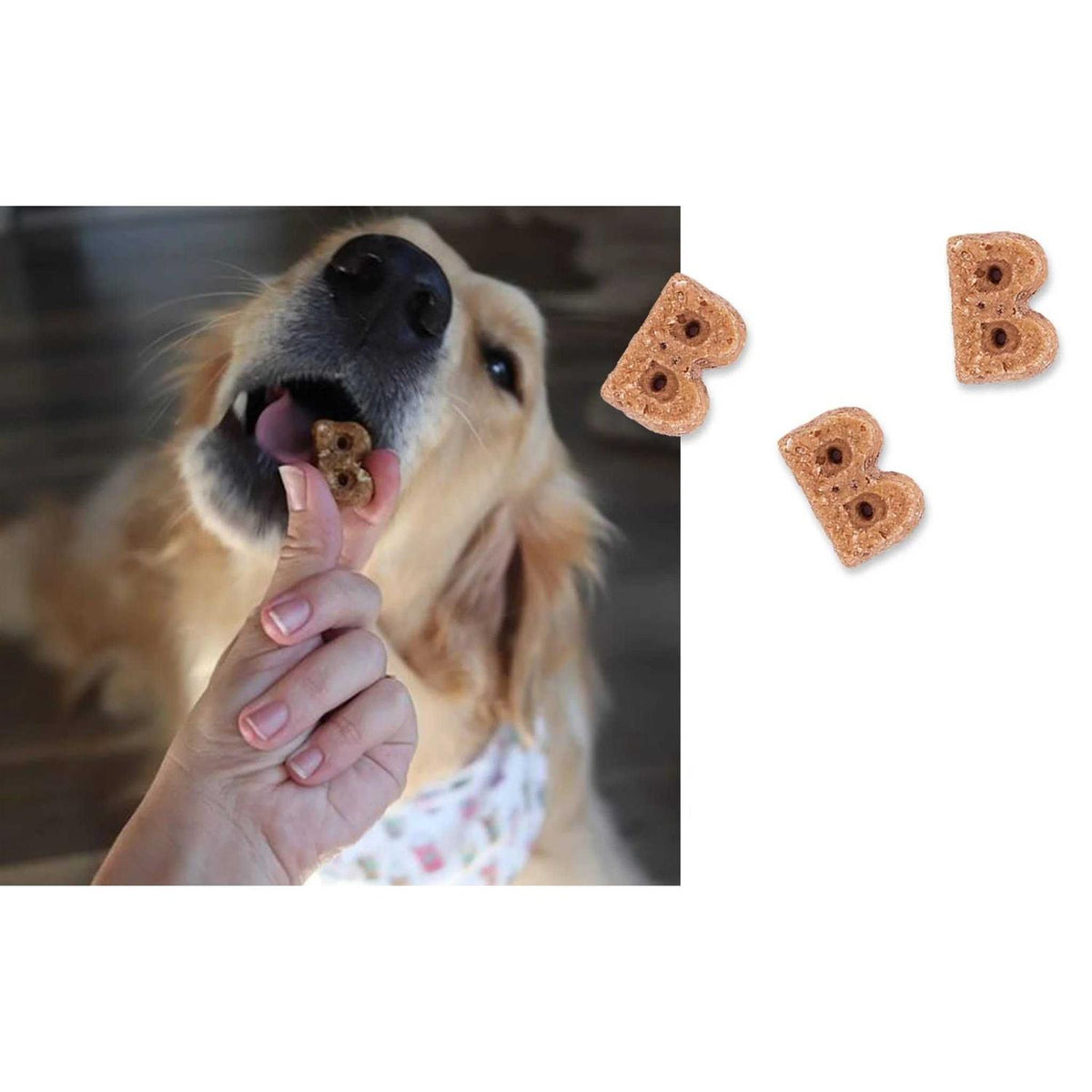 Soft & Chewy Dog Treats W432