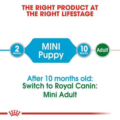 Small Breed Puppy Wet Dog Food X5270