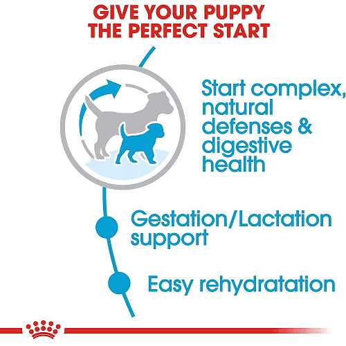 Small Starter Dry Dog Food J2145