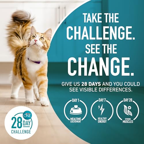 22 lb. Natural Dry Cat Food C35558
