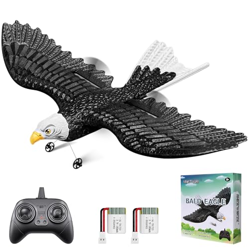 2 CH RC Plane Ready to Fly M355060