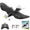 2 CH RC Plane Ready to Fly M355060