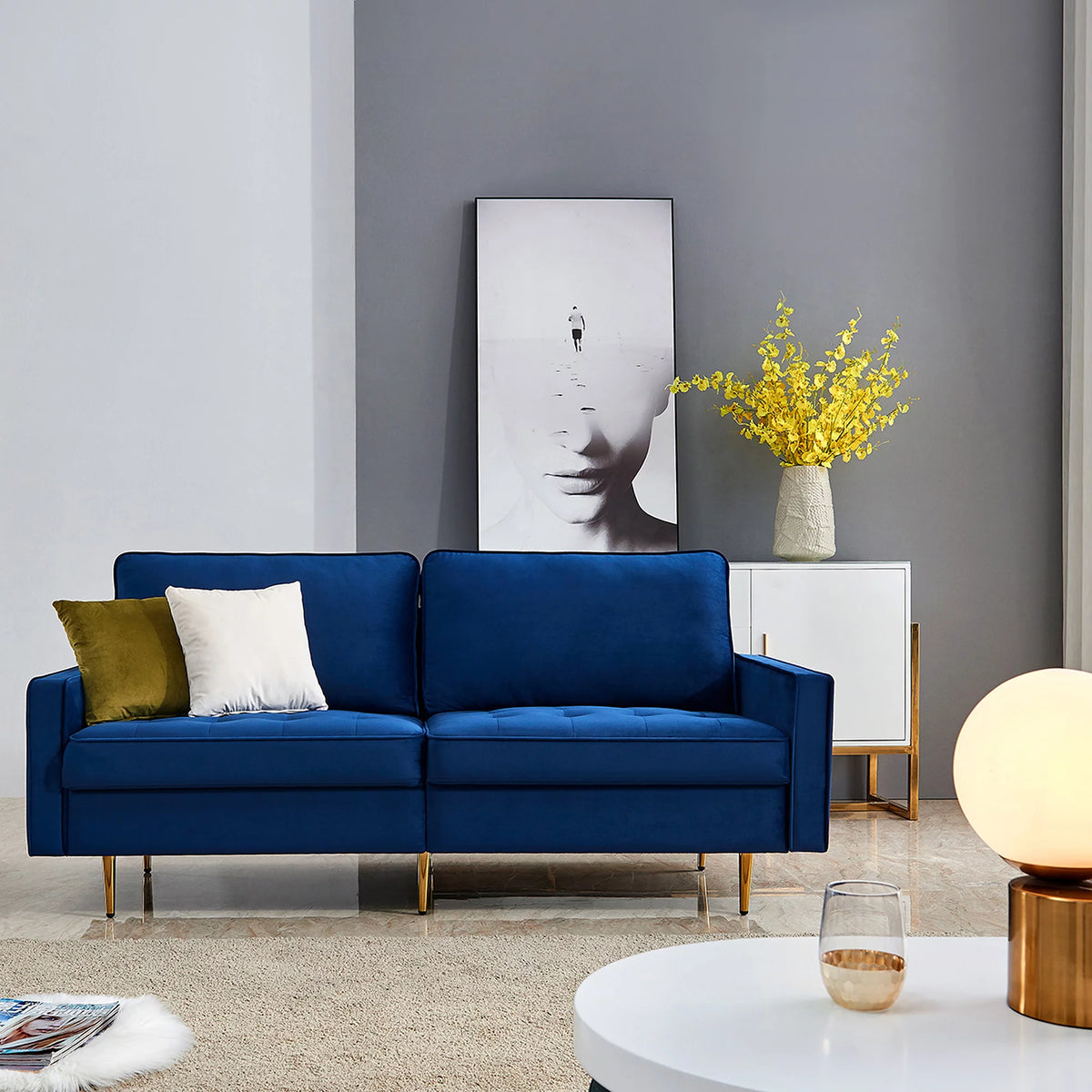 Velvet Fabric Sofa G710
