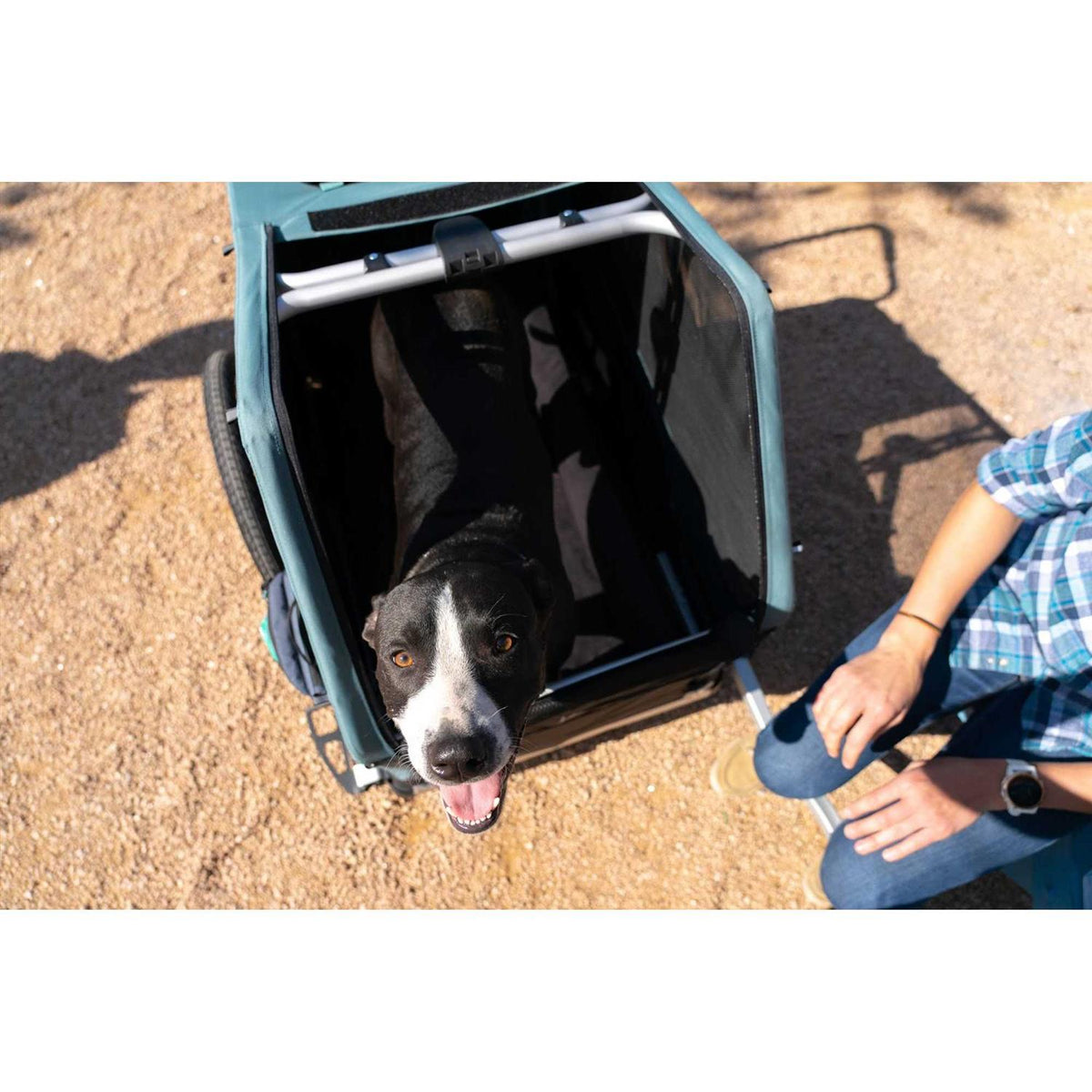 Pet Bed R220