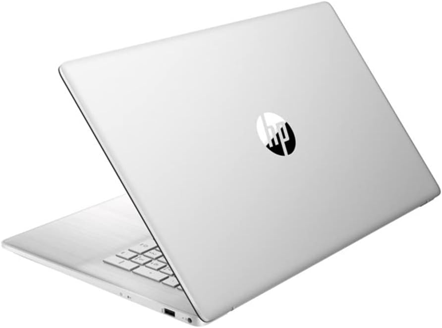 17.3" Touch HD+ AMD Ryzen 5 5500U 6-Core Laptop, 32GB RAM, 1TB PCIe SSD + 1TB HDD, Win 11 Home W310