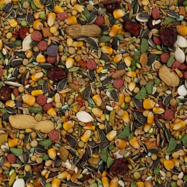 Parrot Bird Food F8766
