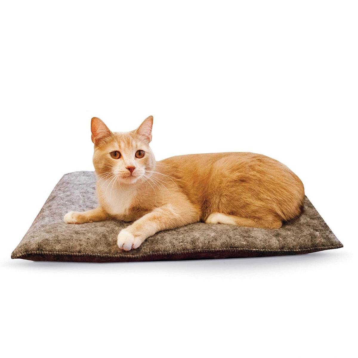 Kitty Pad S19276