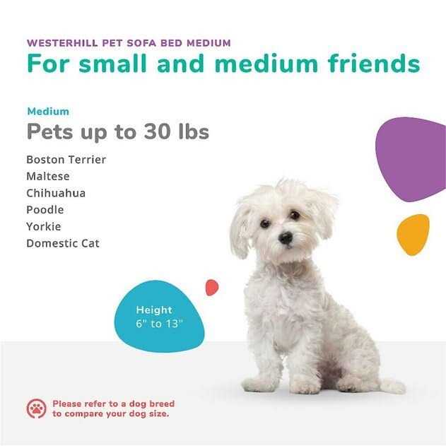 Pet Sofa Bed B26243