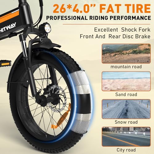 20" x4.0 Fat Tire Foldable Electric Bicycle with 750W Motor, 48V 12AH Removable Battery, 7 Gears C696909