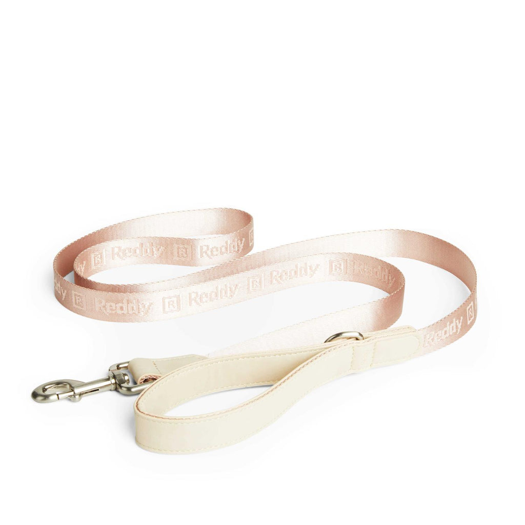 6' Dog Lead N670