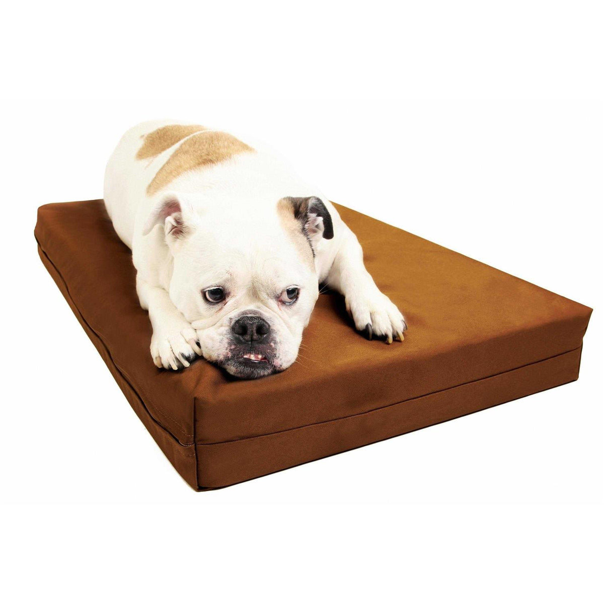 Orthopedic Crate Bed Z59519