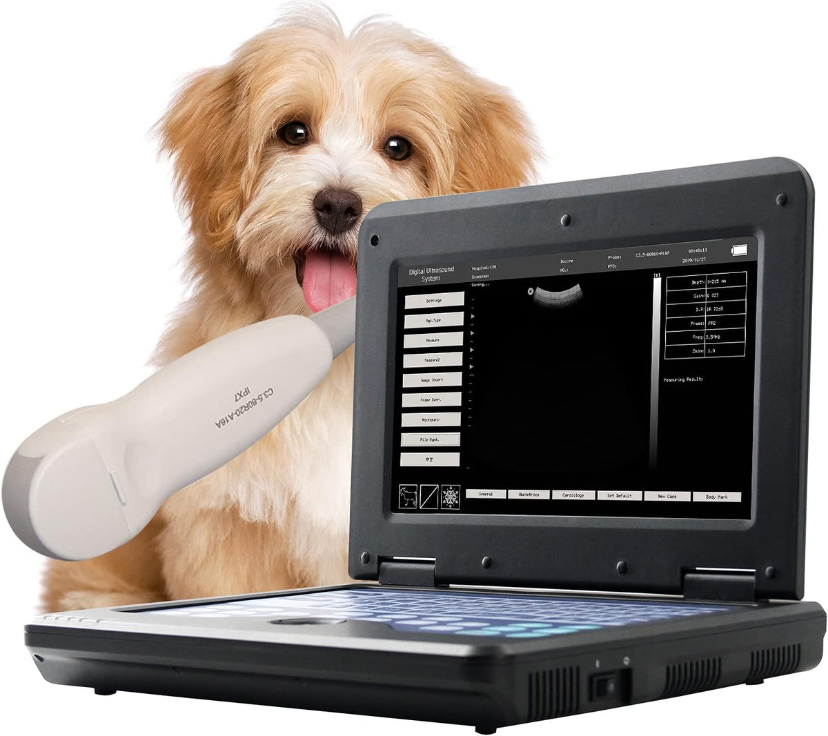 Portable Veterinary Ultrasound Scanner C435
