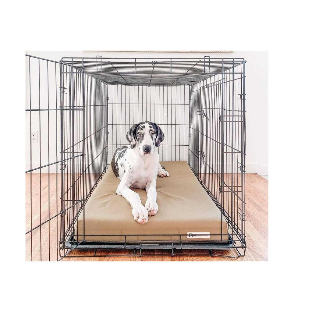 Orthopedic Crate Bed Z59519