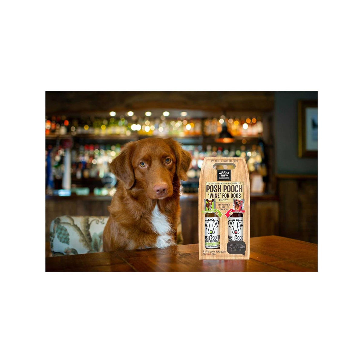 Dog Wine Duo Pack G45962