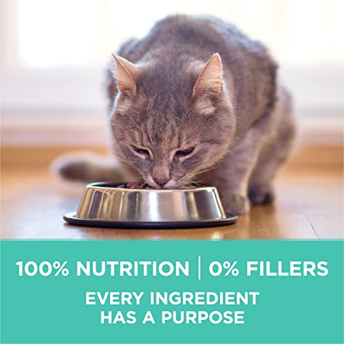 22 lb. Natural Dry Cat Food C35558