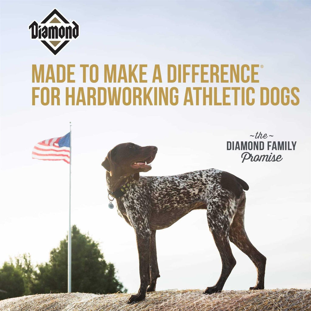 Dry Dog Food T338263