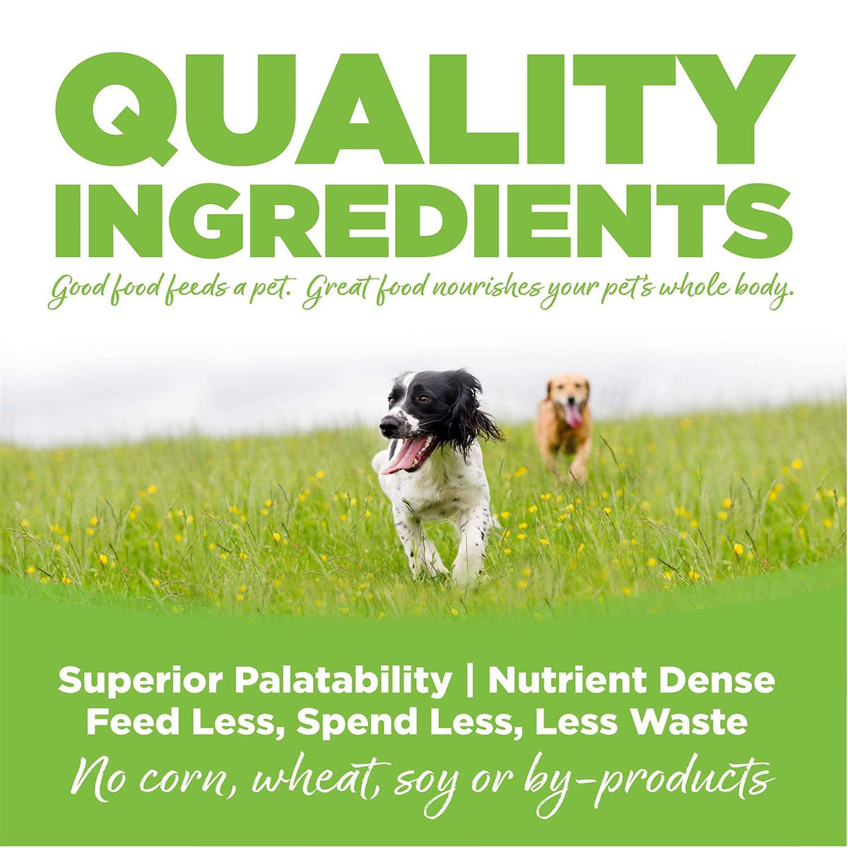 Chicken Weight Management Dry Dog Food E692