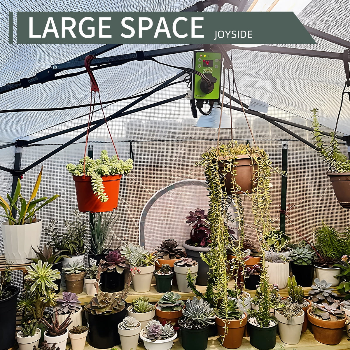 White Pop-up PVC Greenhouse B724313