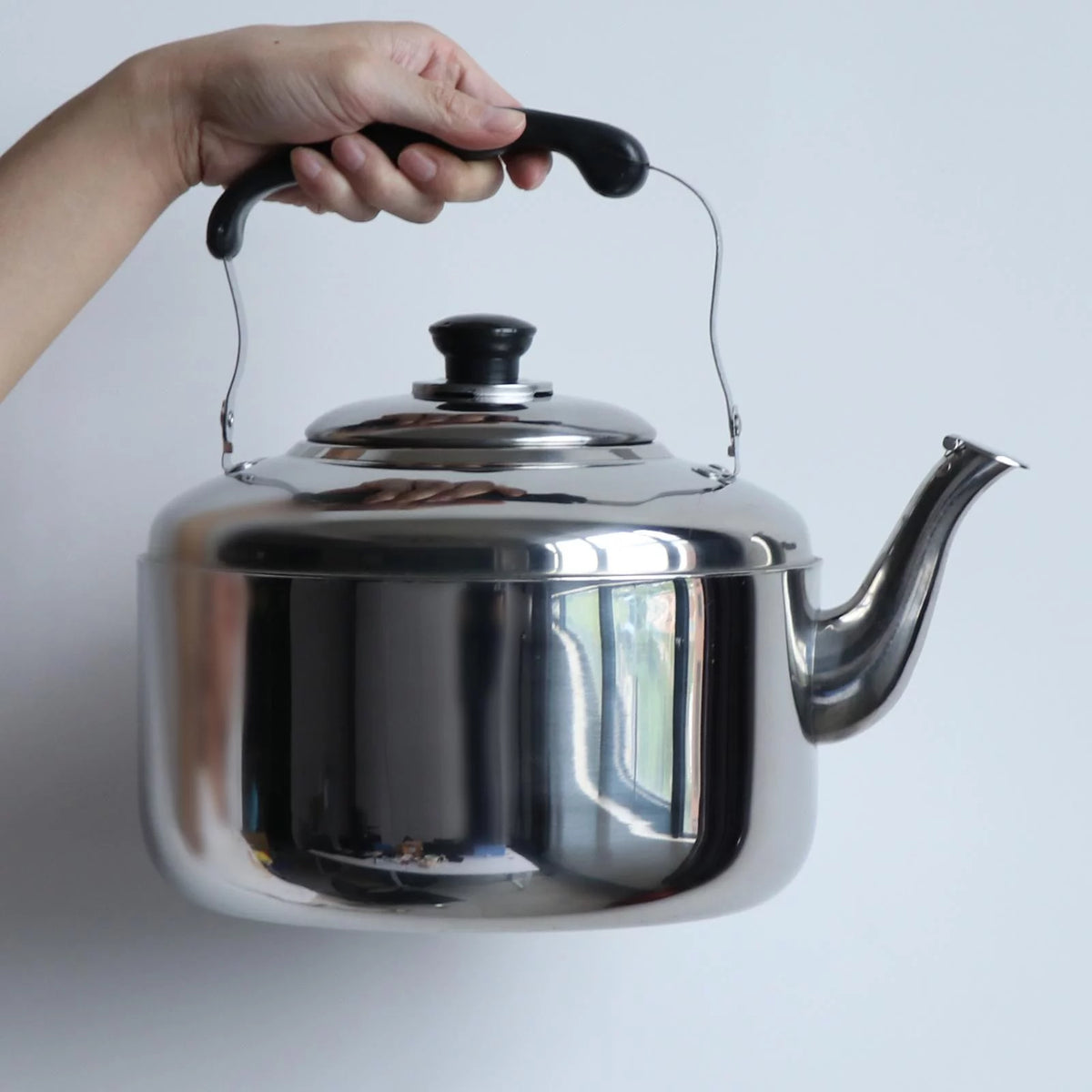 Stainless Steel 5L Stovetop Whistling Kettle L69155