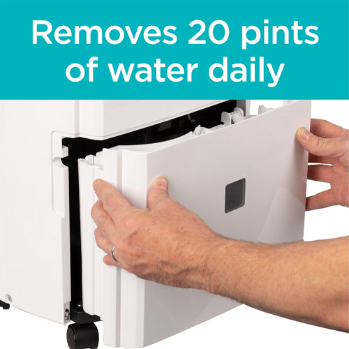 20-Pint Portable Dehumidifier M170685